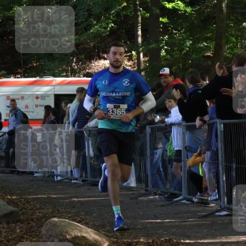 28.09.2025 - 33. Volkslauf durch das schöne Alstertal Strokosch-Dieckow http://msf.ph/oto/8964563 28.09.2025 11:13:46 Ziel 3365 meine-sportfotos.de