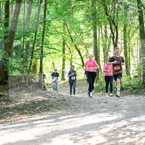 28.09.2025 - 33. Volkslauf durch das schöne Alstertal Dr. Thomas Lammeyer http://msf.ph/oto/8964564 28.09.2025 11:22:27 Laufen 3158, 3920, 3325 meine-sportfotos.de