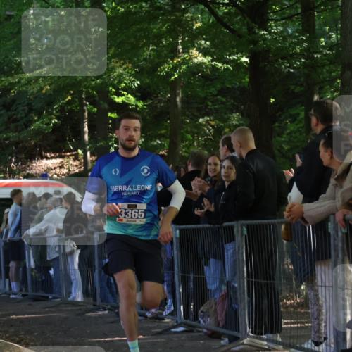 28.09.2025 - 33. Volkslauf durch das schöne Alstertal Strokosch-Dieckow http://msf.ph/oto/8964568 28.09.2025 11:13:47 Ziel 3365 meine-sportfotos.de