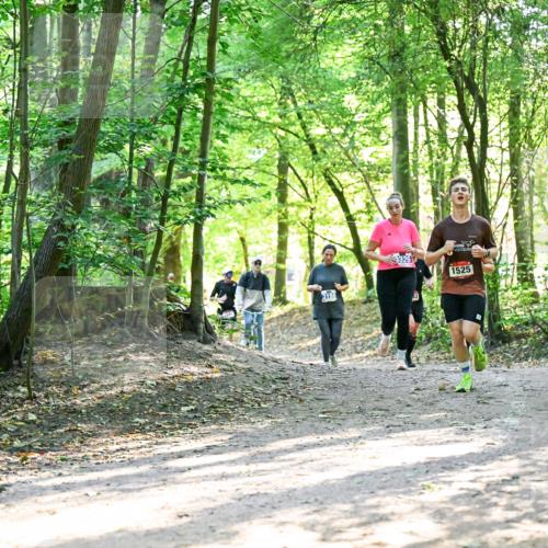 28.09.2025 - 33. Volkslauf durch das schöne Alstertal Dr. Thomas Lammeyer http://msf.ph/oto/8964569 28.09.2025 11:22:27 Laufen 3158, 326, 1525 meine-sportfotos.de