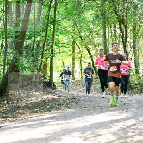 28.09.2025 - 33. Volkslauf durch das schöne Alstertal Dr. Thomas Lammeyer http://msf.ph/oto/8964571 28.09.2025 11:22:28 Laufen 1525 meine-sportfotos.de