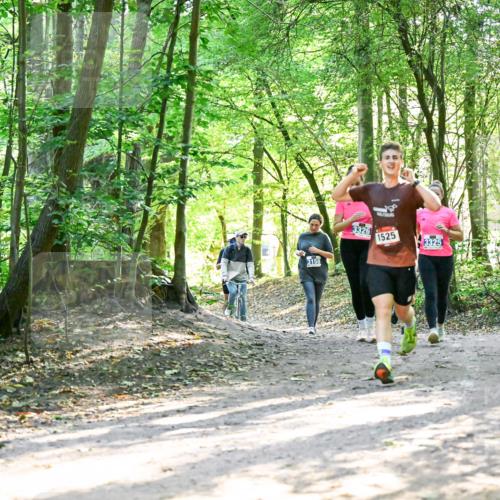 28.09.2025 - 33. Volkslauf durch das schöne Alstertal Dr. Thomas Lammeyer http://msf.ph/oto/8964572 28.09.2025 11:22:28 Laufen 3158, 3326, 1525, 3325 meine-sportfotos.de