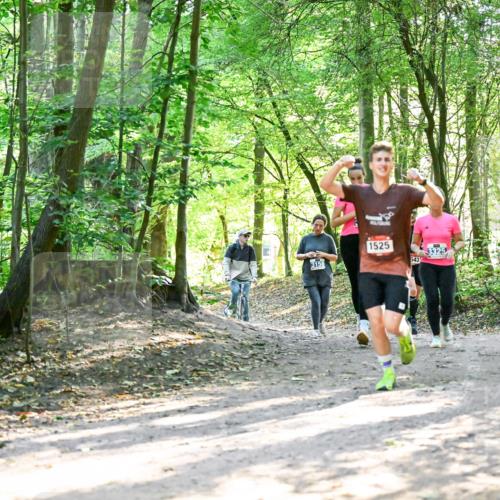 28.09.2025 - 33. Volkslauf durch das schöne Alstertal Dr. Thomas Lammeyer http://msf.ph/oto/8964573 28.09.2025 11:22:28 Laufen 3158, 1525, 543 meine-sportfotos.de