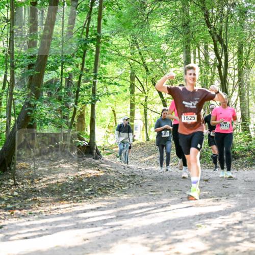 28.09.2025 - 33. Volkslauf durch das schöne Alstertal Dr. Thomas Lammeyer http://msf.ph/oto/8964574 28.09.2025 11:22:28 Laufen 3158, 1525 meine-sportfotos.de