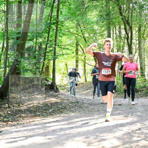 28.09.2025 - 33. Volkslauf durch das schöne Alstertal Dr. Thomas Lammeyer http://msf.ph/oto/8964576 28.09.2025 11:22:28 Laufen 31, 1525, 3325 meine-sportfotos.de