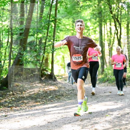 28.09.2025 - 33. Volkslauf durch das schöne Alstertal Dr. Thomas Lammeyer http://msf.ph/oto/8964580 28.09.2025 11:22:29 Laufen 1525 meine-sportfotos.de