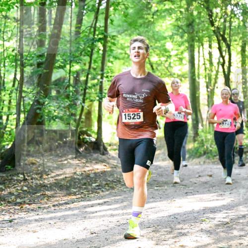 28.09.2025 - 33. Volkslauf durch das schöne Alstertal Dr. Thomas Lammeyer http://msf.ph/oto/8964581 28.09.2025 11:22:29 Laufen 1525 meine-sportfotos.de