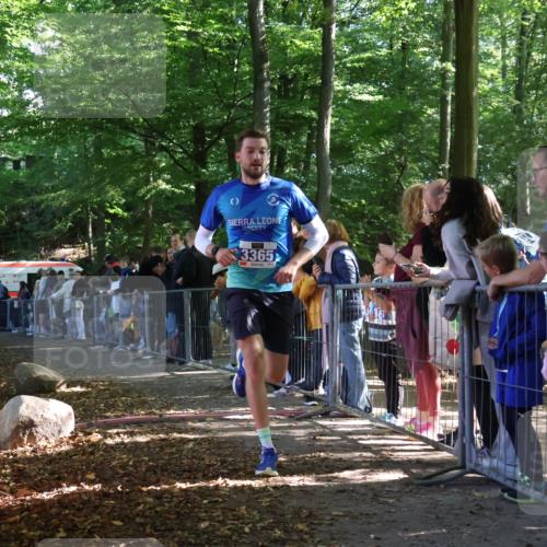 28.09.2025 - 33. Volkslauf durch das schöne Alstertal Strokosch-Dieckow http://msf.ph/oto/8964582 28.09.2025 11:13:48 Ziel 3365 meine-sportfotos.de