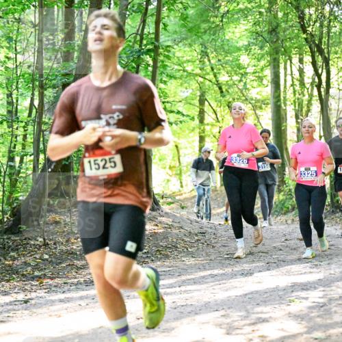 28.09.2025 - 33. Volkslauf durch das schöne Alstertal Dr. Thomas Lammeyer http://msf.ph/oto/8964583 28.09.2025 11:22:29 Laufen 1525, 3326, 3158, 3325, 1543 meine-sportfotos.de