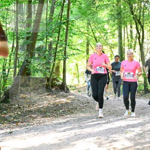 28.09.2025 - 33. Volkslauf durch das schöne Alstertal Dr. Thomas Lammeyer http://msf.ph/oto/8964586 28.09.2025 11:22:30 Laufen 25, 3326, 315, 3325, 1543 meine-sportfotos.de