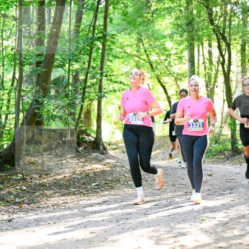 28.09.2025 - 33. Volkslauf durch das schöne Alstertal Dr. Thomas Lammeyer http://msf.ph/oto/8964589 28.09.2025 11:22:30 Laufen 3324, 3325, 1543 meine-sportfotos.de