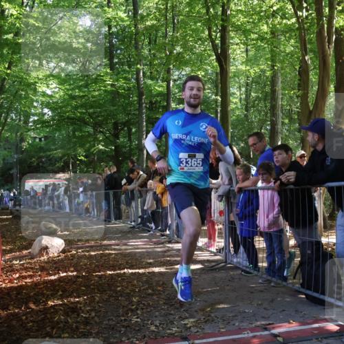 28.09.2025 - 33. Volkslauf durch das schöne Alstertal Strokosch-Dieckow http://msf.ph/oto/8964590 28.09.2025 11:13:49 Ziel 3365 meine-sportfotos.de
