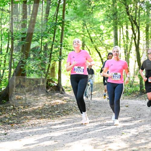 28.09.2025 - 33. Volkslauf durch das schöne Alstertal Dr. Thomas Lammeyer http://msf.ph/oto/8964591 28.09.2025 11:22:30 Laufen 3326, 325, 1543 meine-sportfotos.de