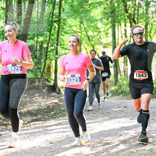 28.09.2025 - 33. Volkslauf durch das schöne Alstertal Dr. Thomas Lammeyer http://msf.ph/oto/8964596 28.09.2025 11:22:31 Laufen 3326, 3325, 1647, 1543, 1101 meine-sportfotos.de