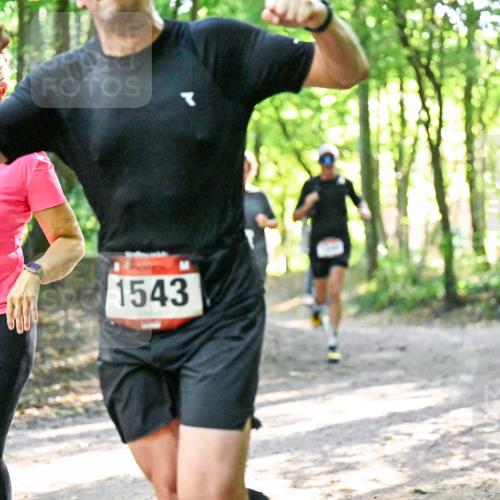 28.09.2025 - 33. Volkslauf durch das schöne Alstertal Dr. Thomas Lammeyer http://msf.ph/oto/8964599 28.09.2025 11:22:32 Laufen 3325, 1543 meine-sportfotos.de