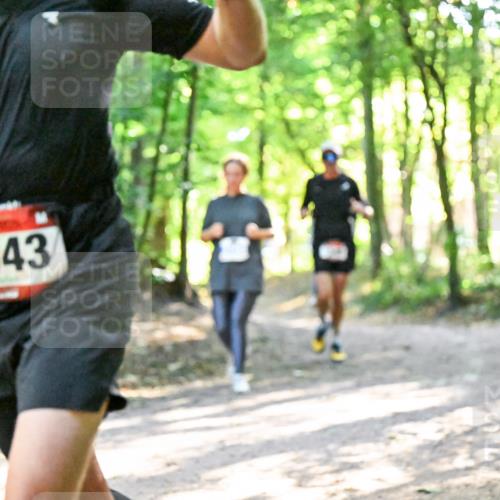 28.09.2025 - 33. Volkslauf durch das schöne Alstertal Dr. Thomas Lammeyer http://msf.ph/oto/8964600 28.09.2025 11:22:33 Laufen 525, 1543 meine-sportfotos.de