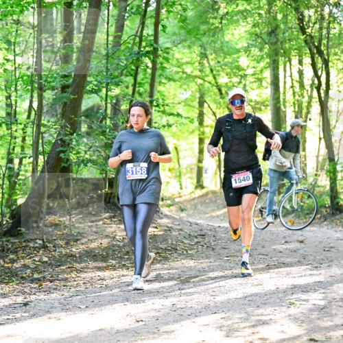 28.09.2025 - 33. Volkslauf durch das schöne Alstertal Dr. Thomas Lammeyer http://msf.ph/oto/8964602 28.09.2025 11:22:33 Laufen 3158, 1540 meine-sportfotos.de