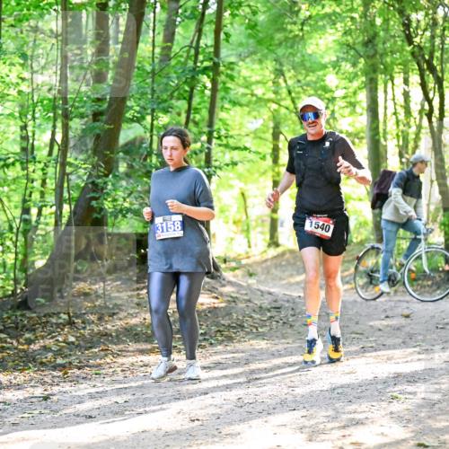 28.09.2025 - 33. Volkslauf durch das schöne Alstertal Dr. Thomas Lammeyer http://msf.ph/oto/8964603 28.09.2025 11:22:33 Laufen 3158, 1540 meine-sportfotos.de