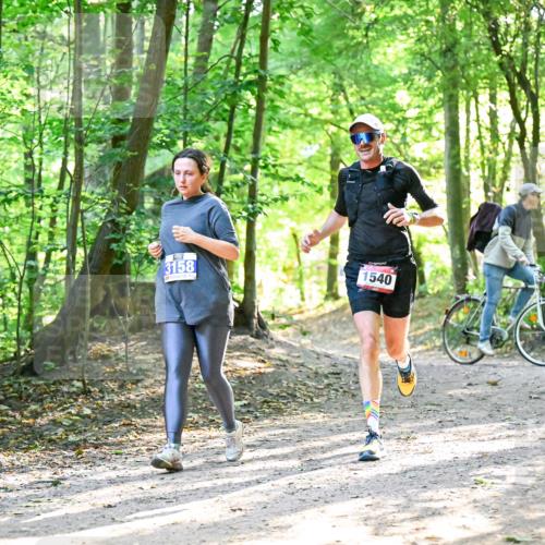 28.09.2025 - 33. Volkslauf durch das schöne Alstertal Dr. Thomas Lammeyer http://msf.ph/oto/8964604 28.09.2025 11:22:34 Laufen 3158, 1540 meine-sportfotos.de