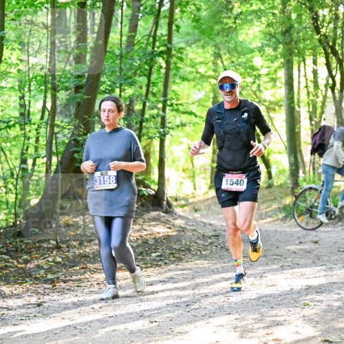 28.09.2025 - 33. Volkslauf durch das schöne Alstertal Dr. Thomas Lammeyer http://msf.ph/oto/8964605 28.09.2025 11:22:34 Laufen 3158, 1540 meine-sportfotos.de