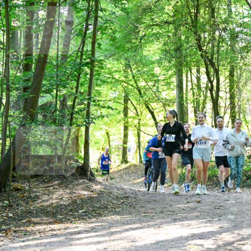 28.09.2025 - 33. Volkslauf durch das schöne Alstertal Dr. Thomas Lammeyer http://msf.ph/oto/8964609 28.09.2025 11:22:48 Laufen 154, 3163, 67, 3172 meine-sportfotos.de