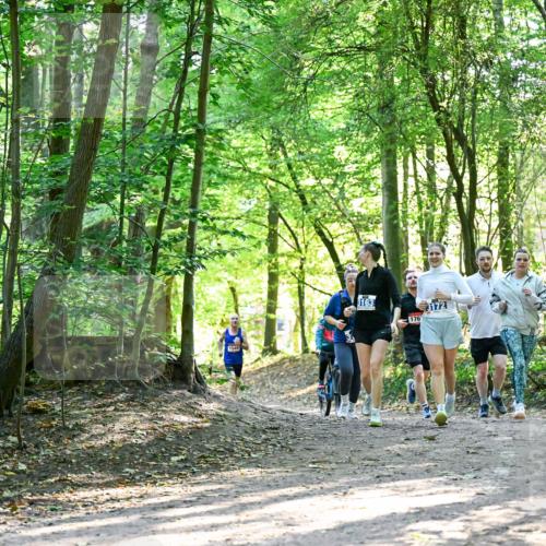 28.09.2025 - 33. Volkslauf durch das schöne Alstertal Dr. Thomas Lammeyer http://msf.ph/oto/8964610 28.09.2025 11:22:48 Laufen 1549, 3163, 176, 3172 meine-sportfotos.de