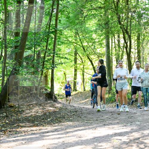 28.09.2025 - 33. Volkslauf durch das schöne Alstertal Dr. Thomas Lammeyer http://msf.ph/oto/8964613 28.09.2025 11:22:48 Laufen 3172 meine-sportfotos.de