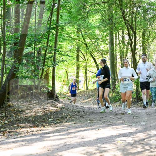 28.09.2025 - 33. Volkslauf durch das schöne Alstertal Dr. Thomas Lammeyer http://msf.ph/oto/8964615 28.09.2025 11:22:48 Laufen 1549, 172 meine-sportfotos.de