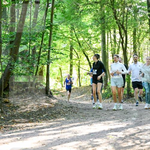 28.09.2025 - 33. Volkslauf durch das schöne Alstertal Dr. Thomas Lammeyer http://msf.ph/oto/8964617 28.09.2025 11:22:48 Laufen 1549, 163, 172 meine-sportfotos.de