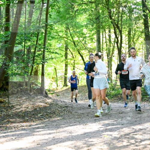 28.09.2025 - 33. Volkslauf durch das schöne Alstertal Dr. Thomas Lammeyer http://msf.ph/oto/8964624 28.09.2025 11:22:49 Laufen 649, 172, 1767 meine-sportfotos.de