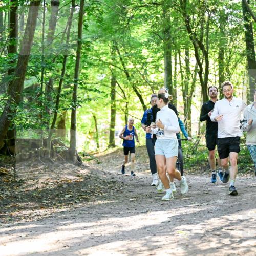 28.09.2025 - 33. Volkslauf durch das schöne Alstertal Dr. Thomas Lammeyer http://msf.ph/oto/8964625 28.09.2025 11:22:49 Laufen 172 meine-sportfotos.de