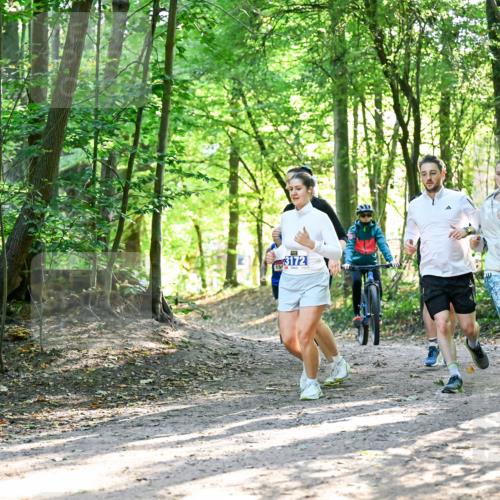 28.09.2025 - 33. Volkslauf durch das schöne Alstertal Dr. Thomas Lammeyer http://msf.ph/oto/8964629 28.09.2025 11:22:50 Laufen 3172 meine-sportfotos.de