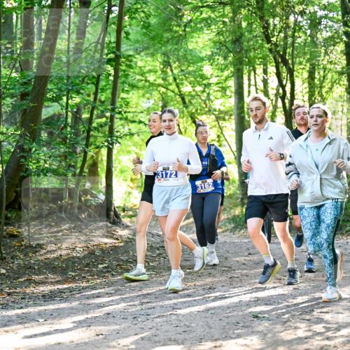 28.09.2025 - 33. Volkslauf durch das schöne Alstertal Dr. Thomas Lammeyer http://msf.ph/oto/8964634 28.09.2025 11:22:50 Laufen 3172, 3162 meine-sportfotos.de