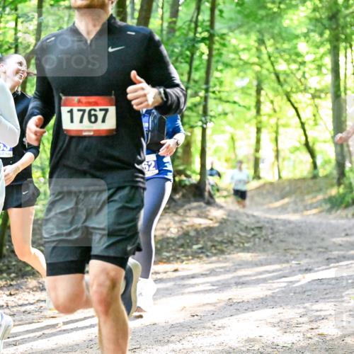 28.09.2025 - 33. Volkslauf durch das schöne Alstertal Dr. Thomas Lammeyer http://msf.ph/oto/8964645 28.09.2025 11:22:53 Laufen 3172, 1767, 1549, 2 meine-sportfotos.de