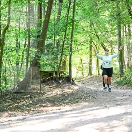 28.09.2025 - 33. Volkslauf durch das schöne Alstertal Dr. Thomas Lammeyer http://msf.ph/oto/8964660 28.09.2025 11:22:58 Laufen 3386 meine-sportfotos.de