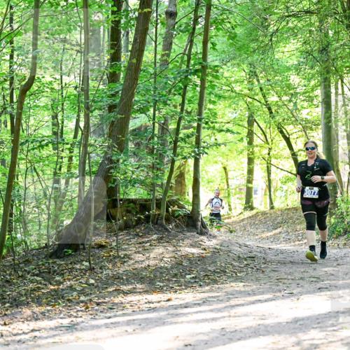 28.09.2025 - 33. Volkslauf durch das schöne Alstertal Dr. Thomas Lammeyer http://msf.ph/oto/8964696 28.09.2025 11:23:10 Laufen 3077 meine-sportfotos.de