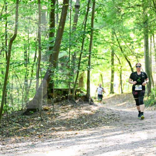 28.09.2025 - 33. Volkslauf durch das schöne Alstertal Dr. Thomas Lammeyer http://msf.ph/oto/8964698 28.09.2025 11:23:10 Laufen 3077 meine-sportfotos.de