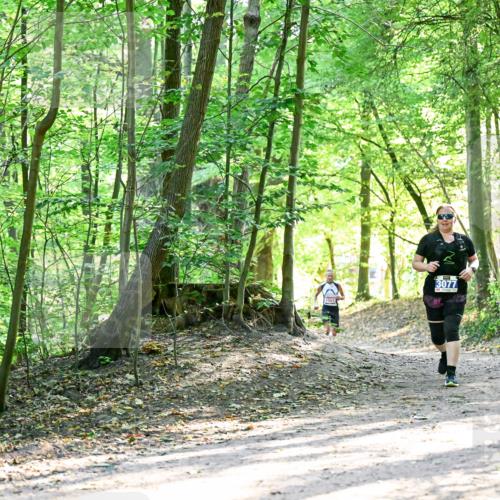 28.09.2025 - 33. Volkslauf durch das schöne Alstertal Dr. Thomas Lammeyer http://msf.ph/oto/8964700 28.09.2025 11:23:10 Laufen 155, 3077 meine-sportfotos.de