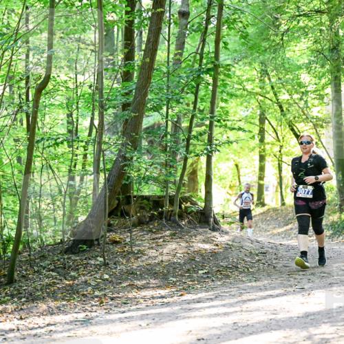 28.09.2025 - 33. Volkslauf durch das schöne Alstertal Dr. Thomas Lammeyer http://msf.ph/oto/8964702 28.09.2025 11:23:10 Laufen 3077 meine-sportfotos.de