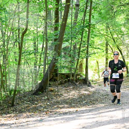 28.09.2025 - 33. Volkslauf durch das schöne Alstertal Dr. Thomas Lammeyer http://msf.ph/oto/8964707 28.09.2025 11:23:11 Laufen 1557, 3077 meine-sportfotos.de