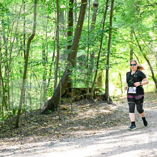 28.09.2025 - 33. Volkslauf durch das schöne Alstertal Dr. Thomas Lammeyer http://msf.ph/oto/8964709 28.09.2025 11:23:11 Laufen 3077 meine-sportfotos.de