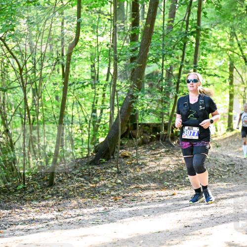 28.09.2025 - 33. Volkslauf durch das schöne Alstertal Dr. Thomas Lammeyer http://msf.ph/oto/8964716 28.09.2025 11:23:12 Laufen 3077, 1 meine-sportfotos.de