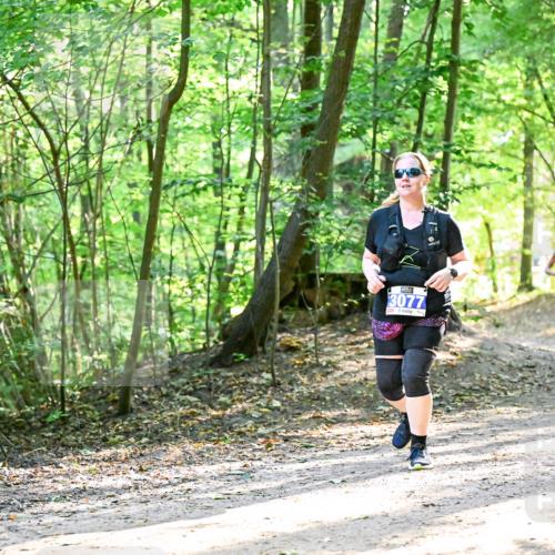 28.09.2025 - 33. Volkslauf durch das schöne Alstertal Dr. Thomas Lammeyer http://msf.ph/oto/8964718 28.09.2025 11:23:12 Laufen 3077, 1657 meine-sportfotos.de