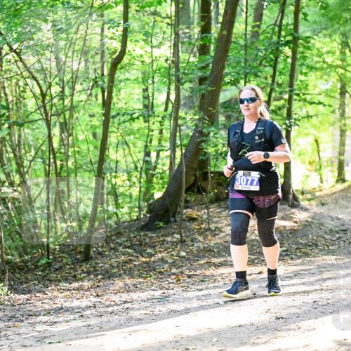28.09.2025 - 33. Volkslauf durch das schöne Alstertal Dr. Thomas Lammeyer http://msf.ph/oto/8964720 28.09.2025 11:23:12 Laufen 3077 meine-sportfotos.de