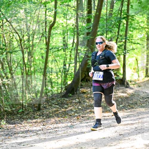 28.09.2025 - 33. Volkslauf durch das schöne Alstertal Dr. Thomas Lammeyer http://msf.ph/oto/8964721 28.09.2025 11:23:13 Laufen 3077 meine-sportfotos.de