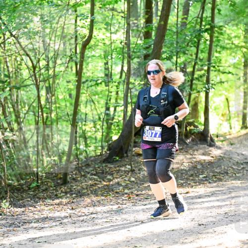 28.09.2025 - 33. Volkslauf durch das schöne Alstertal Dr. Thomas Lammeyer http://msf.ph/oto/8964722 28.09.2025 11:23:13 Laufen 3077 meine-sportfotos.de