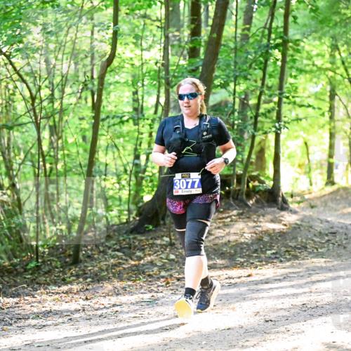 28.09.2025 - 33. Volkslauf durch das schöne Alstertal Dr. Thomas Lammeyer http://msf.ph/oto/8964723 28.09.2025 11:23:13 Laufen 3077 meine-sportfotos.de