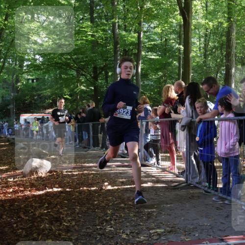 28.09.2025 - 33. Volkslauf durch das schöne Alstertal Strokosch-Dieckow http://msf.ph/oto/8964739 28.09.2025 11:14:51 Ziel 3362, 3366, 3923, 3924, 3939 meine-sportfotos.de