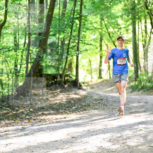 28.09.2025 - 33. Volkslauf durch das schöne Alstertal Dr. Thomas Lammeyer http://msf.ph/oto/8964747 28.09.2025 11:23:21 Laufen 1527 meine-sportfotos.de