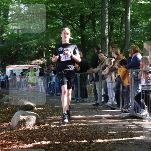 28.09.2025 - 33. Volkslauf durch das schöne Alstertal Strokosch-Dieckow http://msf.ph/oto/8964750 28.09.2025 11:14:52 Ziel 3362, 3366, 3924, 3939 meine-sportfotos.de